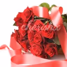 Make your loved ones feel special by sending them this beautiful bunch of 20 red roses.