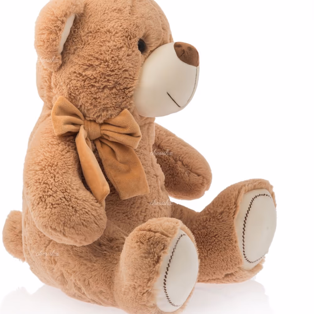 Fluffy Teddy Bear for Gifting