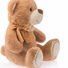 Fluffy Teddy Bear for Gifting