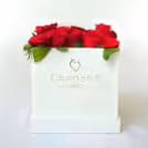 Tinted Rose Bucket  — photo 8