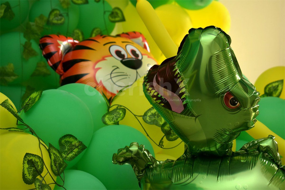 A decoration of  Lion King for your kid's birthday party.