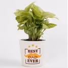 Thoughtful Best Dad Plant to pamper your dad on his special day.