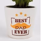 Best Dad Plant  — photo 3