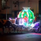Fairytale Carriage Ride  — photo 3