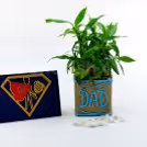 Thoughtful 2 Layer Bamboo Plant For Dad to pamper your dad on his special day.