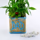 2 Layer Bamboo Plant For Dad — photo 3