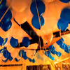 Blue and white balloons attached to the ceiling in preparation for a Balloon Surprise.