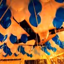 Blue and white balloons attached to the ceiling in preparation for a Balloon Surprise.
