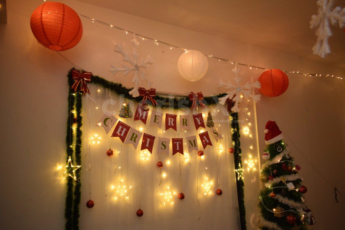 Mosses, Star Lights and LED Lights for Xmas Decorations