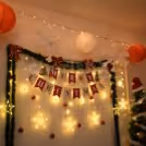 Mosses, Star Lights and LED Lights for Xmas Decorations