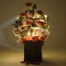 CherishX's Rose Bucket with Photos for birthdays and anniversaries.