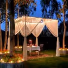 Private Cabana Under The Stars — photo 5