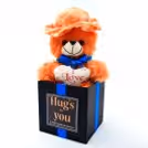 Teddy Bucket — photo 4