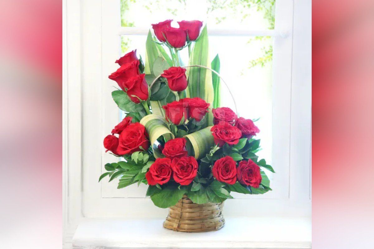 Beautiful 20 Red roses arrangement 