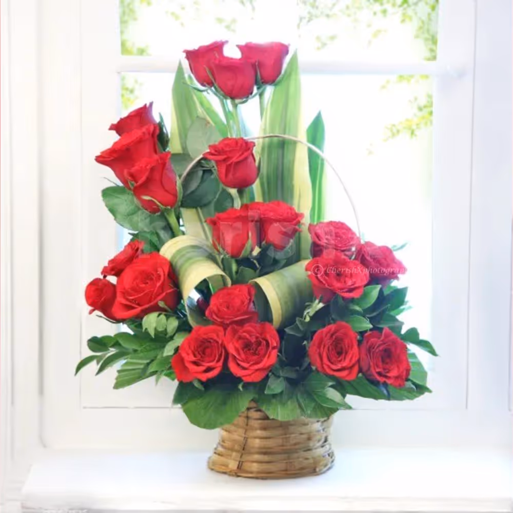 Beautiful 20 Red roses arrangement 