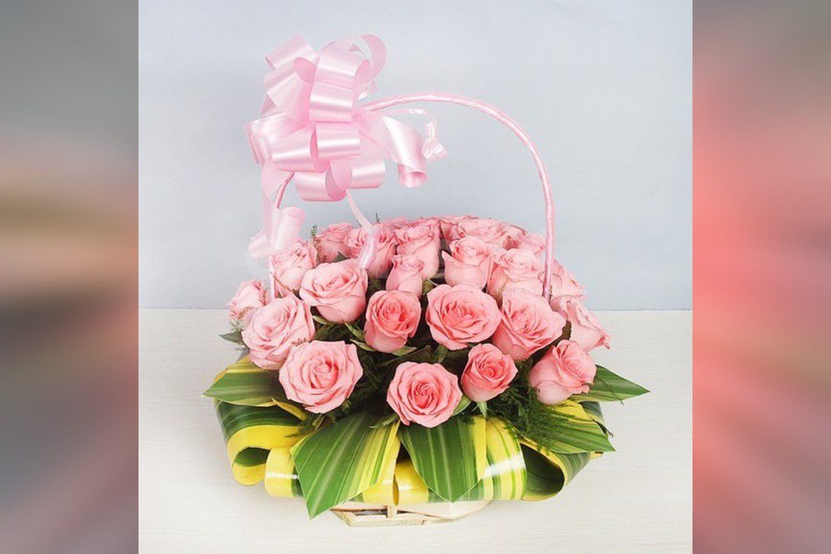 30 pink roses beautiful bucket