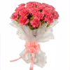 20 pink carnations bouquet