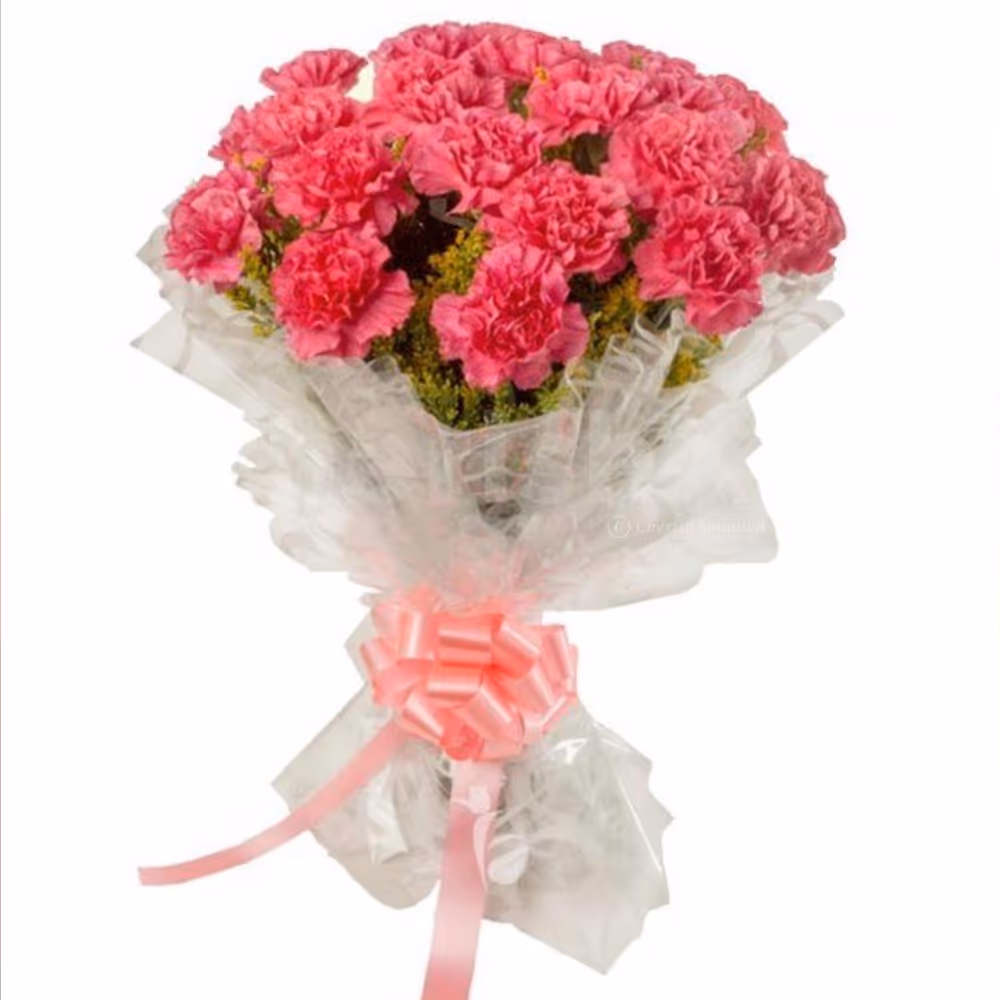 20 pink carnations bouquet