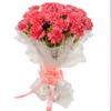 20 pink carnations bouquet