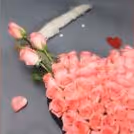 A Beautiful 50 Pink roses heart arrangement  by cherishx
