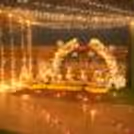 Book this sparkling decor with cherishx