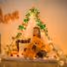Flower Petals, Candle Decorations & Rose Gold Balloons with Canopy.