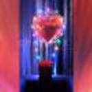 Rose bucket with a love bubble for your loved ones.