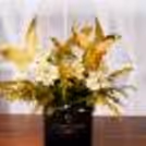A bucket of 10 fresh Gerbera Flowers.