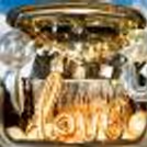 Book this Decorative Rose Gold Car Boot Surprise in Delhi, Gurgaoan, NCR