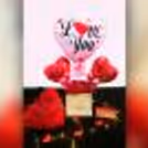 Give a lovely surprise with CherishX's White & Red Colored Rose Day Bucket!