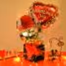 Shower love on your partner and make him/her feel important with CherishX's Valentine's Day Bucket!!