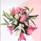 6 Pink and White Lilies in Glass Vase Bouquet — photo 1
