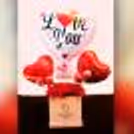 A captivating Red Carnations Love Balloon Bucket to captivate your loved one's heart!