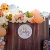 Have a charming baby shower with CherishX's Peach Colored Baby Shower Decor!