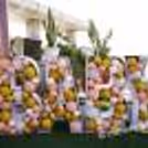 Book a Charming Peach Colored Baby Shower Decor to throw a grand baby shower for the "mother to be"!