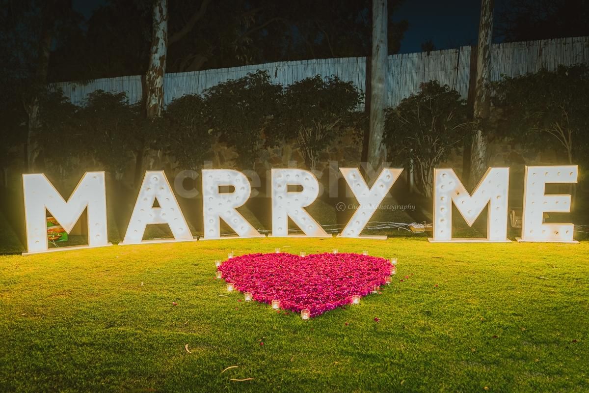 Fairytale proposal and dinner