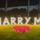 Fairytale proposal and dinner