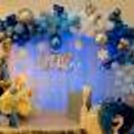 Book this wonderful Frozen Themed Decoration for your kid's birthday.