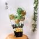 Send wishes with this extraordinary Gold & Green Balloon Bucket with Chocolates!