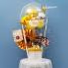 A Bubble balloon filled with yellow, pastel yellow, white latex and golden chrome balloons with a Golden Butterfly on it.