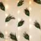 Peacock Feathers wall backdrop to add beauty to your Janmashtami decor!