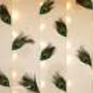 Backdrop created with peacock feathers and Led lights for Ganesh Chaturthi Peacock Themed Decor!