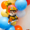 Cut-out of the character of PAW Patrol; Everest.