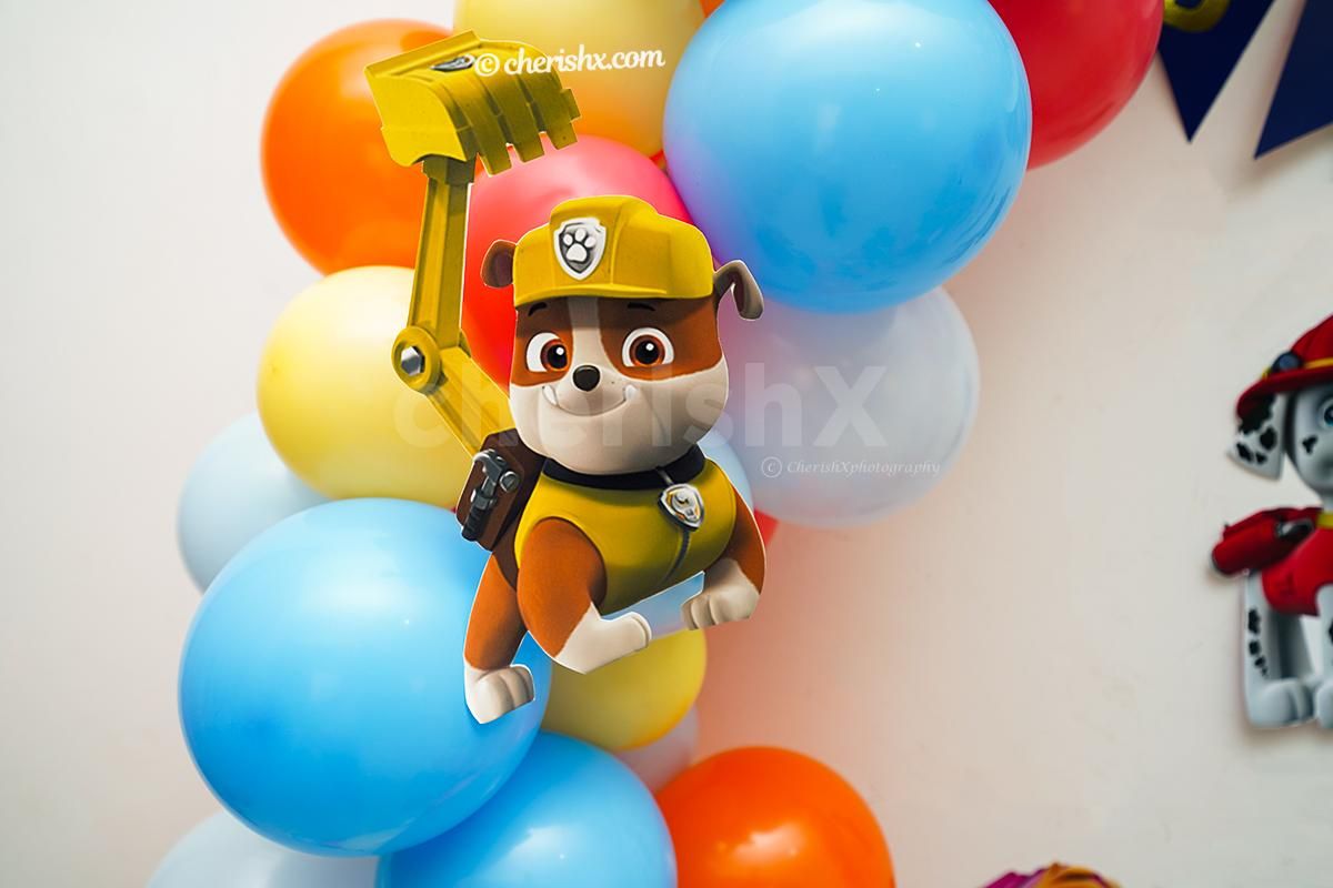 Cut-out of the character of PAW Patrol; Everest.