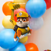 Cut-out of the character of PAW Patrol; Everest.