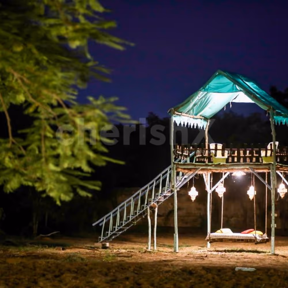A Romantic Dining Under the Machan for you and your partner to go on in Jaipur!