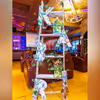A Ladder decorated with customized A3 size Alphabets, decorated with Money Plant Bells and 2 cages filled with Led Lights.