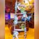 A Ladder decorated with customized A3 size Alphabets, decorated with Money Plant Bells and 2 cages filled with Led Lights.