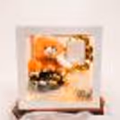 Gift your special one this adorable transparent box filled with exciting things!