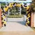 CherishX's Black and Golden Decor includes entrance arch of silver, golden chrome and black balloons.